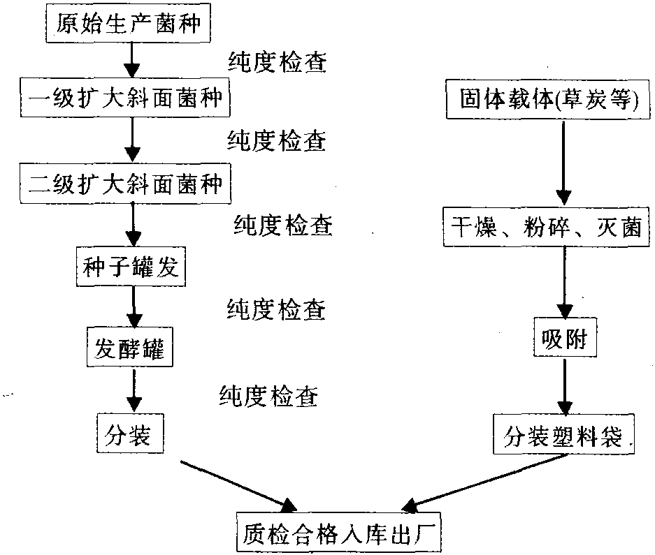 固氮菌肥